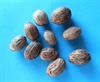 Amra pod løse 3-5 cm. 10 stk.